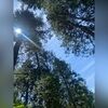 lylahchavez280